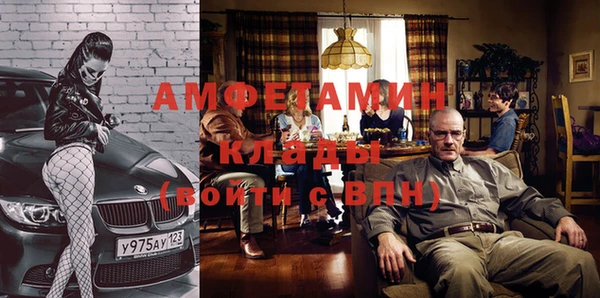 шишки Алексин